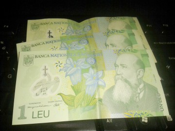 Leul s-a depreciat semnificativ faţă de principalele valute